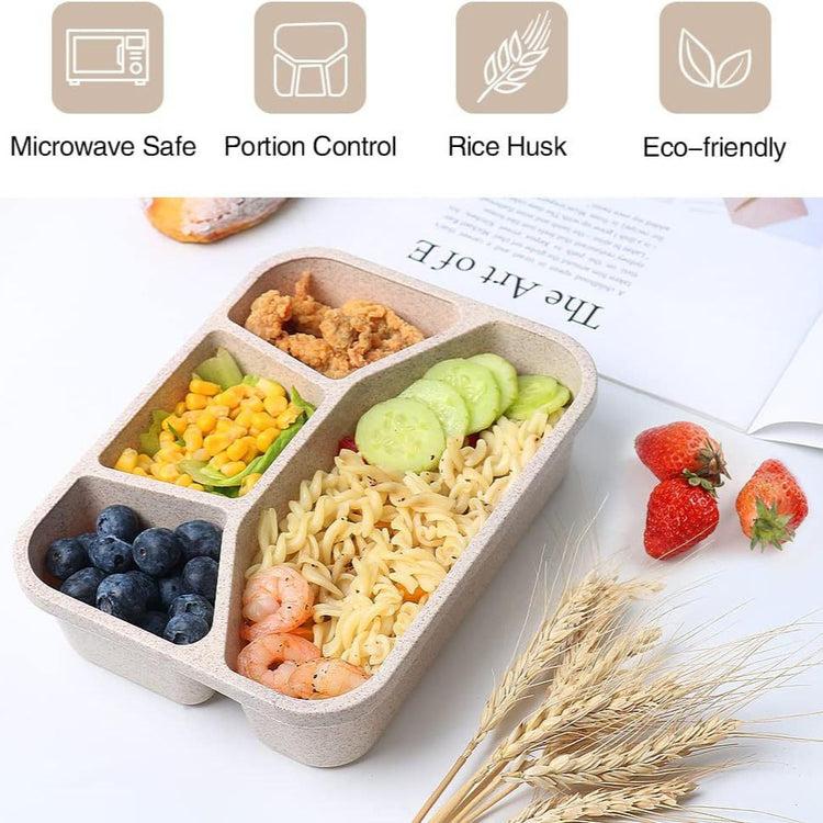 Simple Rectangular Compartment Lunch Boxes Fruit Container