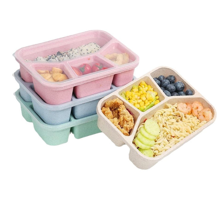 Simple Rectangular Compartment Lunch Boxes Fruit Container
