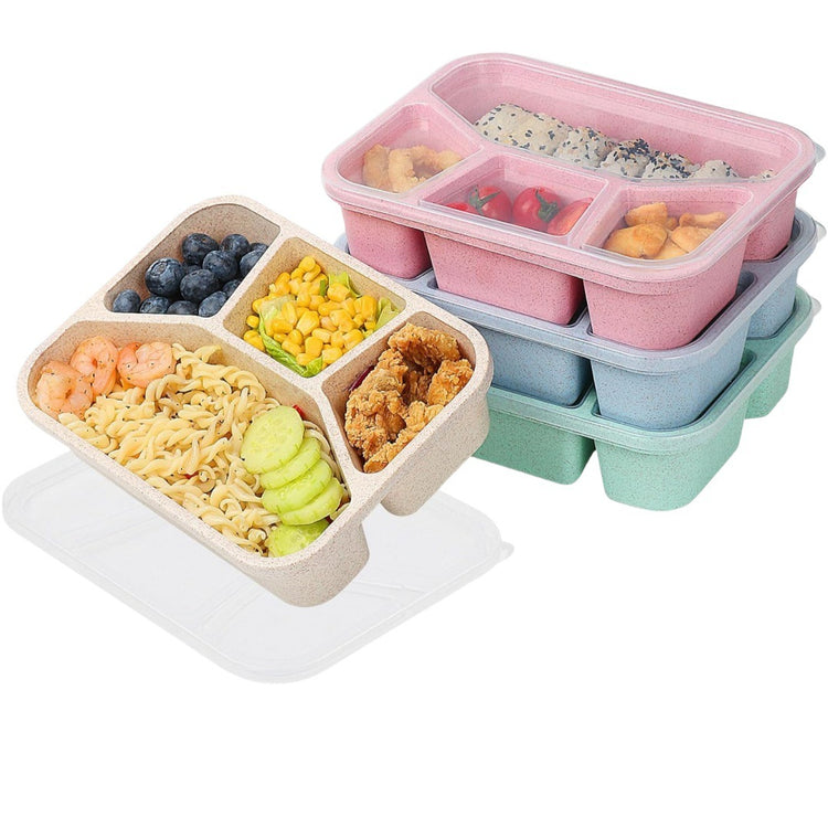 Simple Rectangular Compartment Lunch Boxes Fruit Container