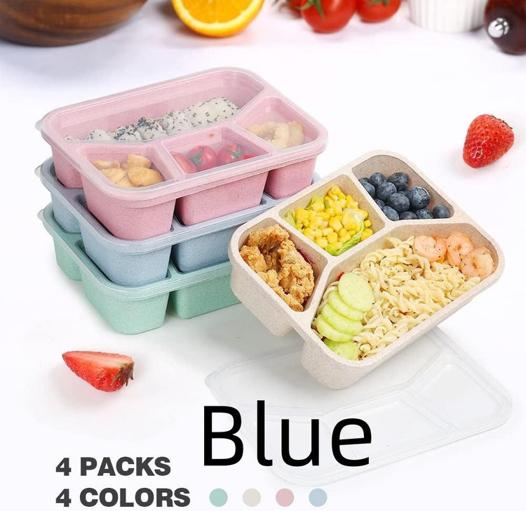 Simple Rectangular Compartment Lunch Boxes Fruit Container